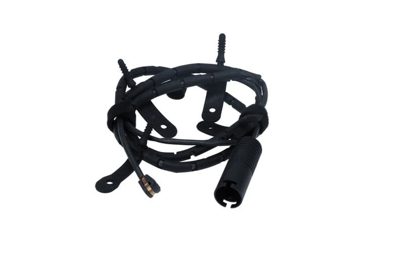 Balata Fisi Arka — Resim