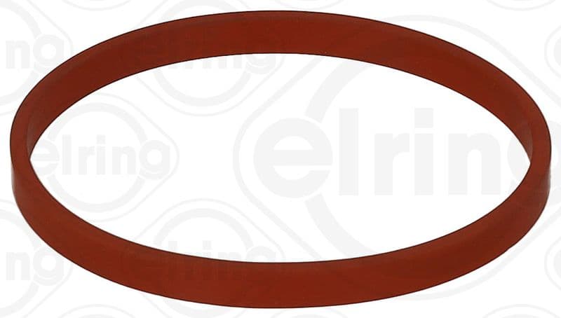 Egr Contası Bls-bkc-bxe-bmm — Foto