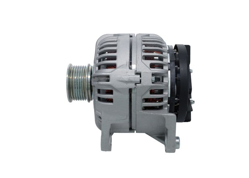 Bosch Tip — Resim