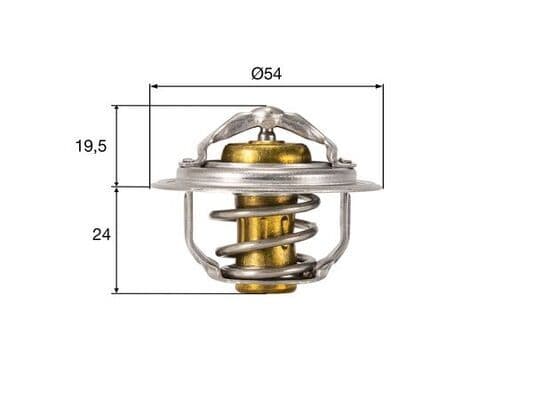 Termostat Thermostat Insert — Resim