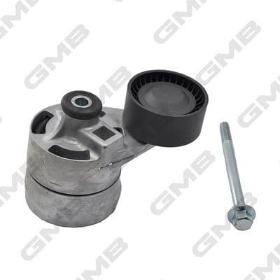 Alternatör Gergi Rulmani (Kütüklü) Transit V348 2.4 TDCI 3.2 200PS 06>11 — Resim