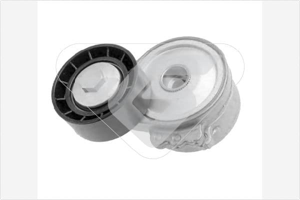 Alternatör Gergi Rulmani (Kütüklü) PARTNER-P206-306-307-BOXER-BERLINGO-JUMPY-JUMPER 1.9D-2.0D — Resim