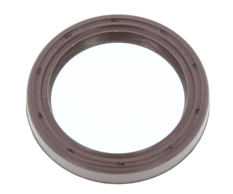 Eksantrik Kecesi BMW M20 M40 E30 E34 E36 — Resim