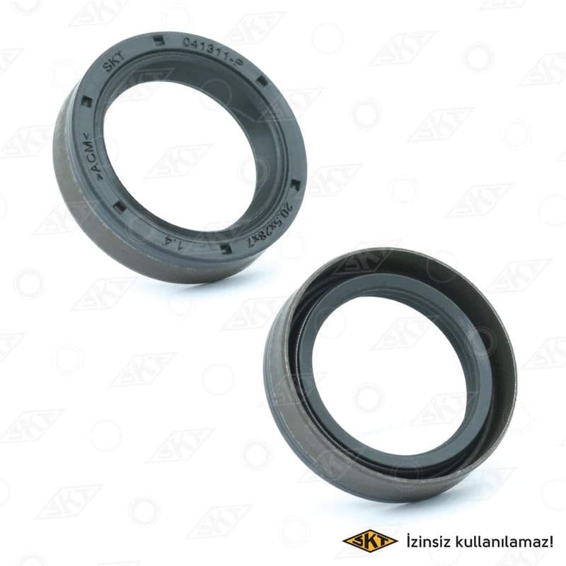 Sanziman Kecesi On Octavia Fabia 1.2-1.4.1.6.1.8 TFSI (205X28X7) — Resim