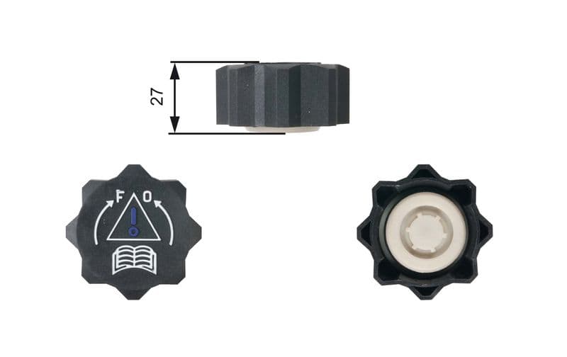Yedek Su Depo Kapagi Citroen C3 C4 C5 C Elysee Berlingo 1.6 HDI 03 — Resim