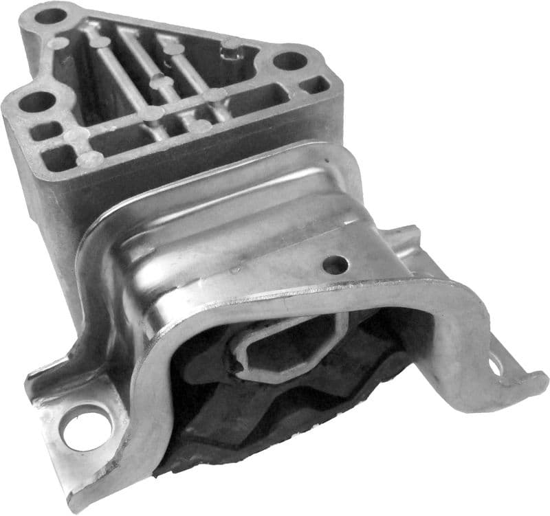 Motor Takozu Fiat Ducato III 3.0 JTD 06=> (Orjinal) — Resim