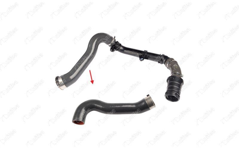 TURBO HORTUMUPLASTİK BORU HARİÇ OK İLE GÖSTERİLEN BÜYÜK HORTUM RENAULT ESPACE V (JR) 1.6dCi 130 15 — Foto
