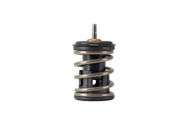 Thermostat. Coolant — Resim