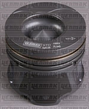 PISTON+SEGMAN Renault Q76.000 MM +0.50 MM KH=-0.20 MM — Teknik çizim