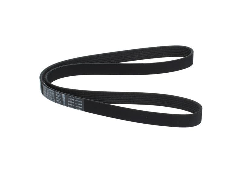 Kanalli Kayis Daily 2.3TD (7PK1325) — Resim
