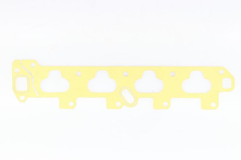 Emme Manifold Contası — Resim