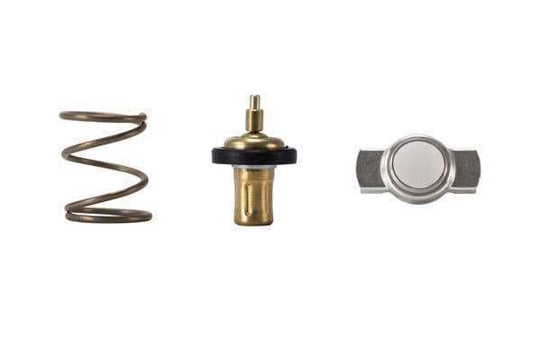 Termostat (83C) Derece Qashqai J11 Captur Clio IV Kangoo Megane III 1.5DCI A160 A180 B160 B180 Citan 10 Govdesiz — Resim