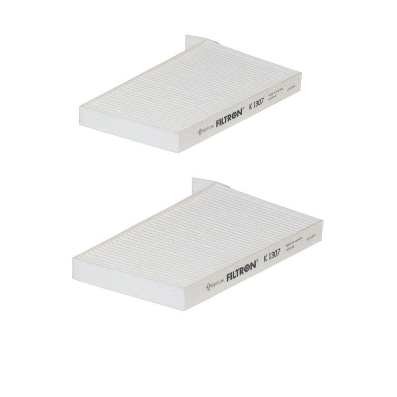 Polen Filtresi H1 Panelvan Min. 08 — Resim