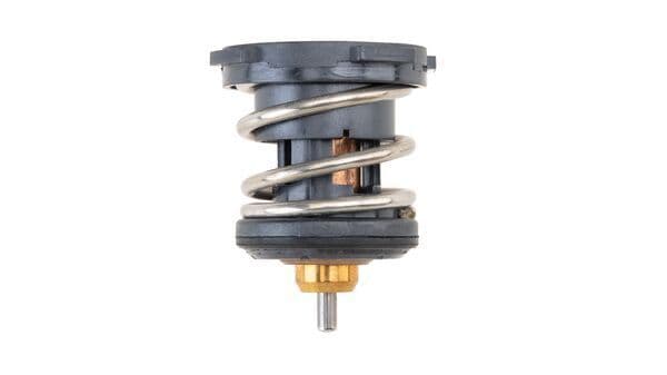 Termostat Thermostat Insert — Resim