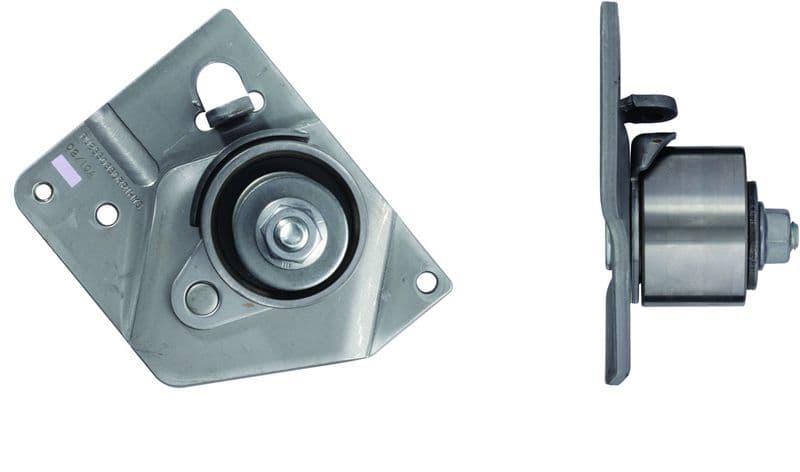 Eksantrik Gergi Rulmani (Kütüklü) Lgn II-Mgn II-Sceni II-Primera 1.9 Dci F9Q — Resim