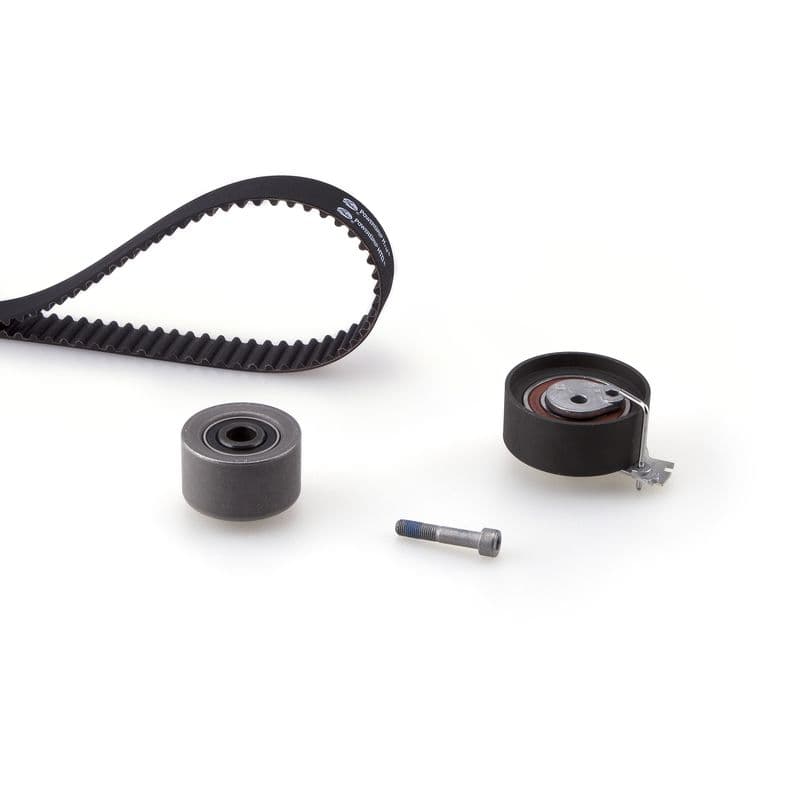 EKSANTRİK GERGİ KİTİ (134x254) P206-307-PARTNER-BERLINGO-C3-XSARA 1.6 16V (NFU TU5JP4) — Resim