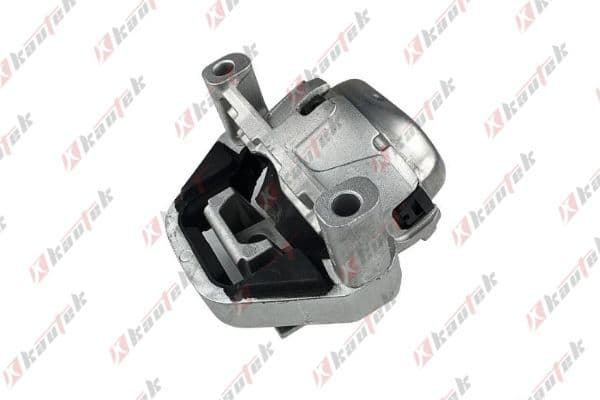 Motor Sanzuman Kulaği Sağ-sol — Resim