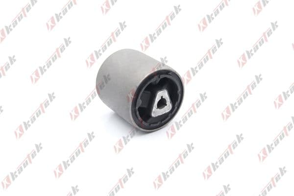 Salincak Burcu On (Adet) BMW E60 04>10 — Resim