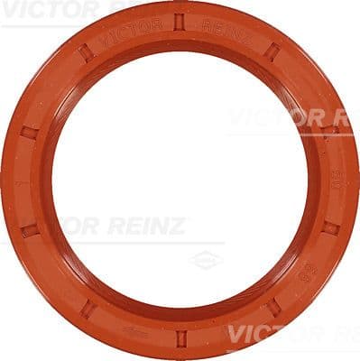 Krank Kecesi On R21 Megane 2.0 Laguna 1.8-2.0 (50X68X10) — Resim