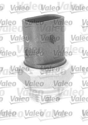 Fan Musuru — Foto