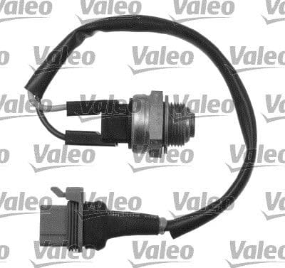 Fan Musuru Renault 21 TXE Renault 25 #### — Foto