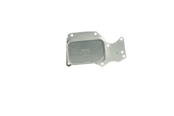 Yag Sogutucusu BMW B37 B38 B46 B48 F20 F21 F22 F23 F30 F31 F34 F35 G20 F32 F33 F36 G22 G26 F10 F11 G30 G31 G38 G32 G11 G12 F25 G01 G08 F26 G02 F15 — Resim