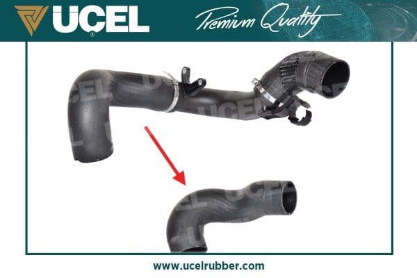Turbo Hortum (Büyük) BOXER III-Jumper III-Ducato III 06> 2.2 JTD — Foto