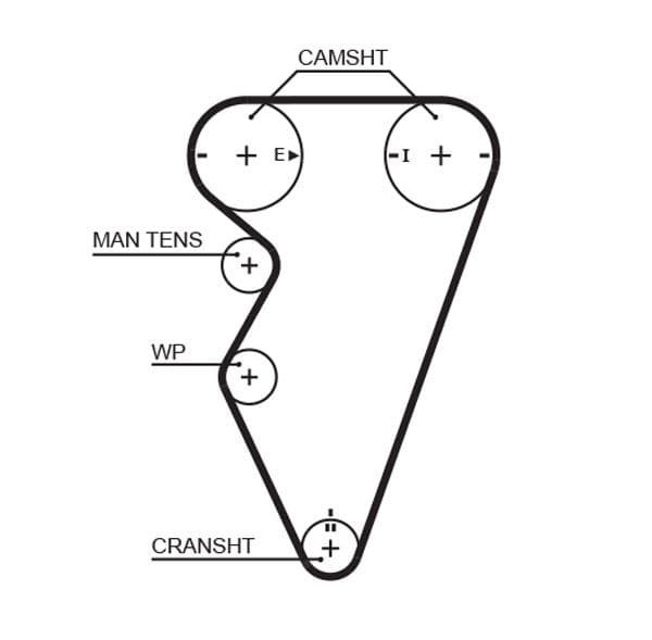 Triger Seti — Resim